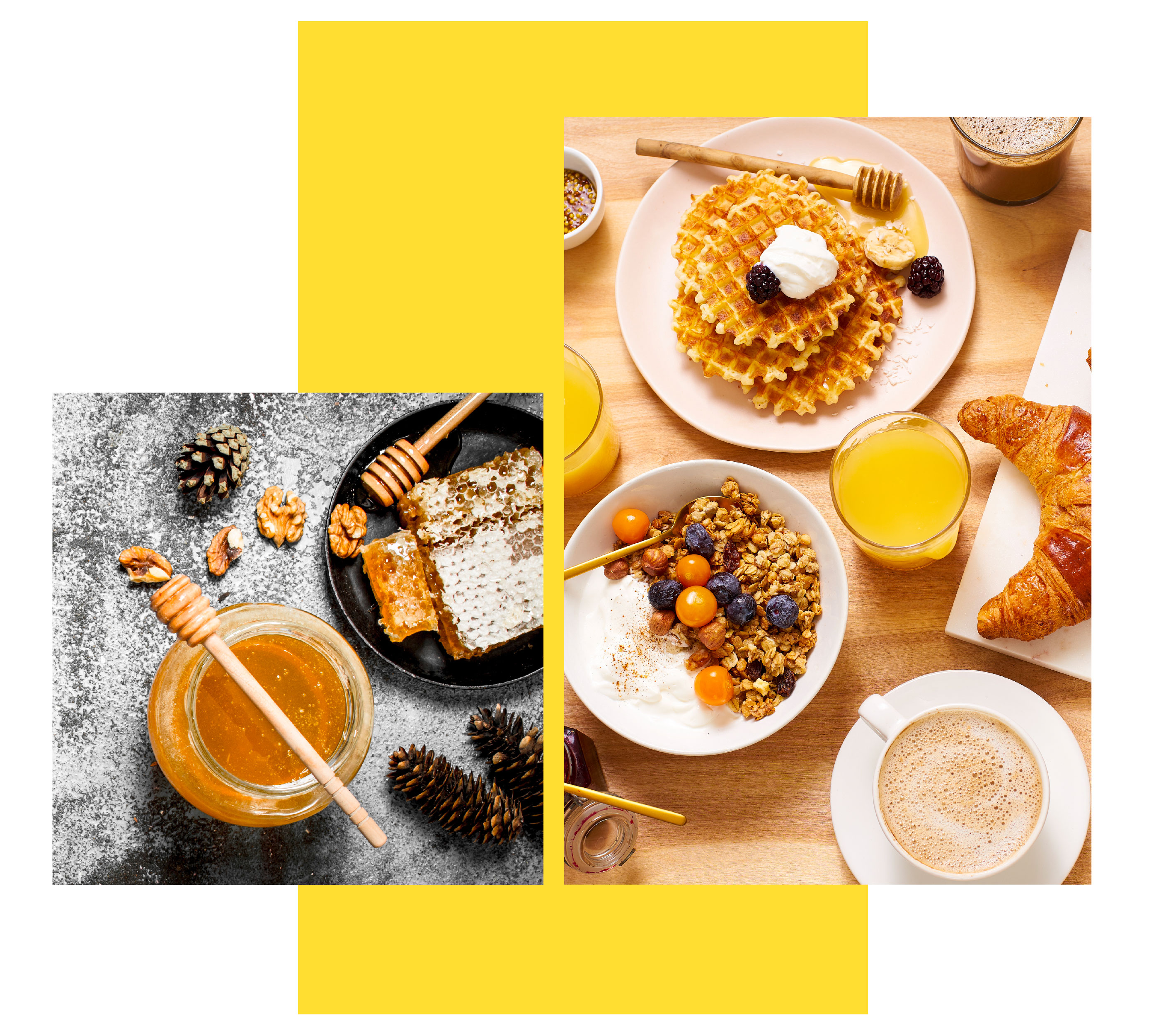 sector de la miel etiquetas